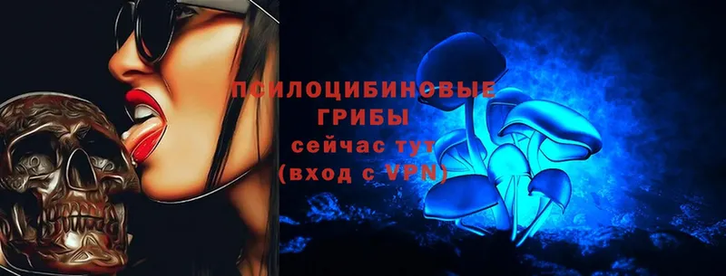 Псилоцибиновые грибы Psilocybe  где можно купить   Рыльск 